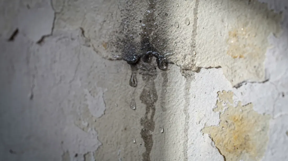 Cette image montre de près des traces d'humidité et de condensation sur un mur intérieur ancien, avec des gouttelettes d'eau visibles. Ces signes peuvent indiquer des problèmes d'isolation et de ventilation dans l'appartement, nécessitant éventuellement des travaux pour améliorer le confort et la performance thermique des murs.